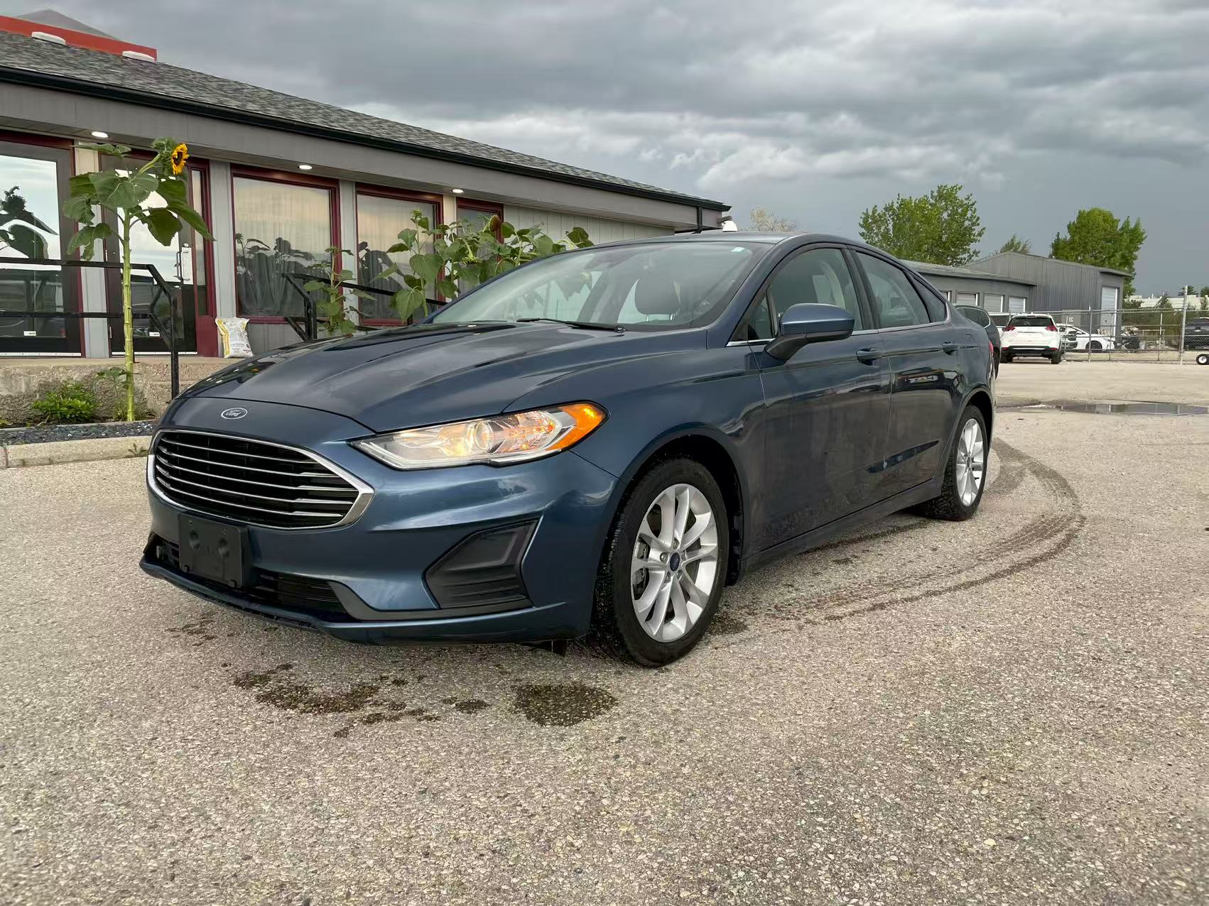 Fusion SE